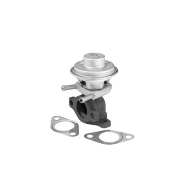 AGR - Ventil BorgWarner 712069D