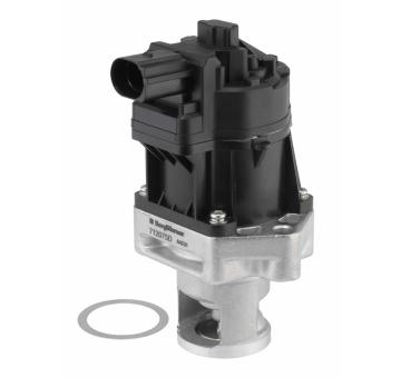 AGR-Ventil BorgWarner 712075D