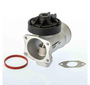 AGR - Ventil BorgWarner 7234D