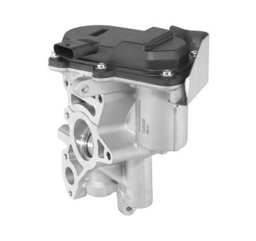 AGR-Ventil BorgWarner 729003D