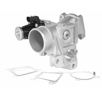 AGR - Ventil BorgWarner 729005D