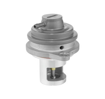 AGR - Ventil BorgWarner 729007D