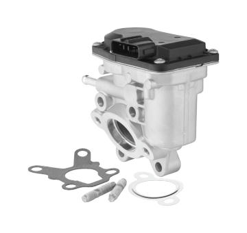 AGR - Ventil BorgWarner 729015D