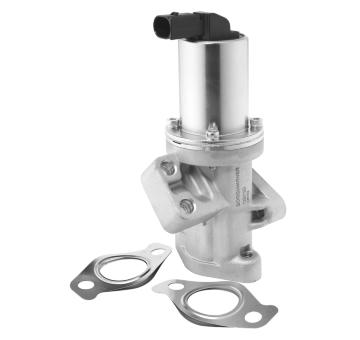 AGR - Ventil BorgWarner 729019D