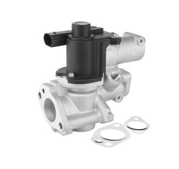 AGR - Ventil BorgWarner 729020D