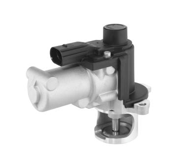 AGR-Ventil BorgWarner 729022D