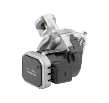 AGR - Ventil BorgWarner 7504D