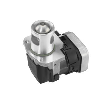 AGR-Ventil BorgWarner 7556D
