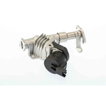 AGR - Ventil BorgWarner 7574D