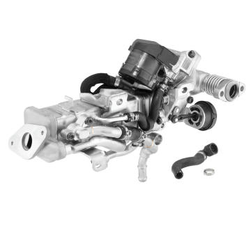 AGR-modul BorgWarner 792004D0