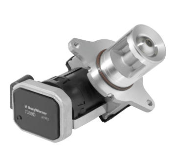 AGR-Ventil BorgWarner 7389D