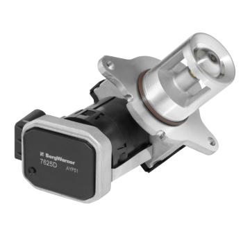 AGR-Ventil BorgWarner 7625D