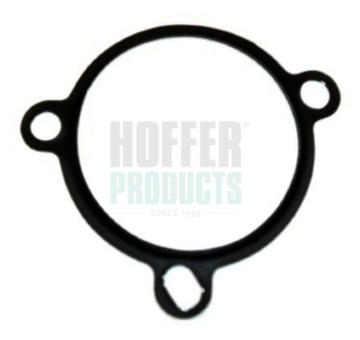 Tesneni, AGR ventil HOFFER 01604