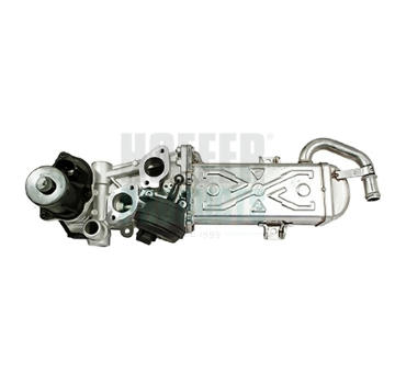 AGR-Ventil HOFFER 7518259R