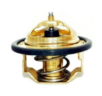 Termostat, chladivo HOFFER 8192182