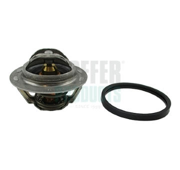 Termostat, chladivo HOFFER 8192222