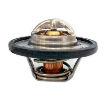 Termostat, chladivo HOFFER 8192471