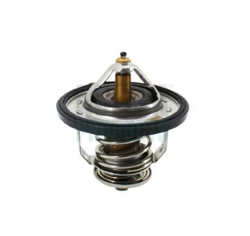 Termostat, chladivo HOFFER 8192795