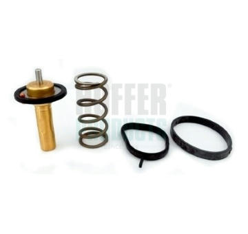 Termostat, chladivo HOFFER 8192839