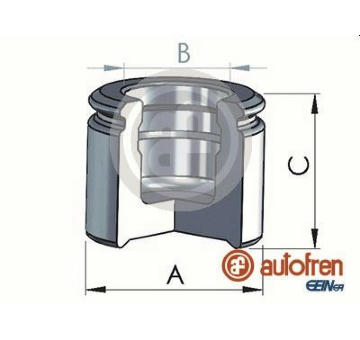 Píst, brzdový třmen AUTOFREN SEINSA D025310