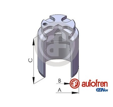 Píst, brzdový třmen AUTOFREN SEINSA D025418