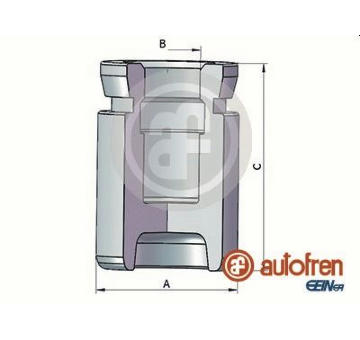 Píst, brzdový třmen AUTOFREN SEINSA D025517
