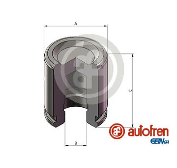 Píst, brzdový třmen AUTOFREN SEINSA D025843