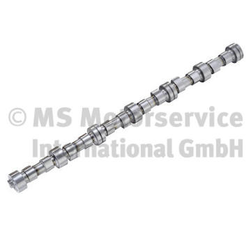 Vačkový hriadeľ BF 20100208362