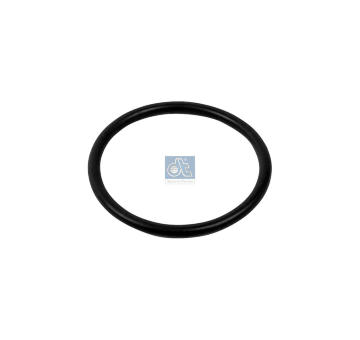 Těsnění, termostat DT Spare Parts 11.22015