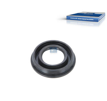 Těsnění, držák trysky DT Spare Parts 12.24300