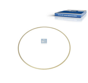 Těsnění válce, o-kroužek DT Spare Parts 1.10601