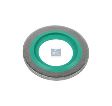 Těsnicí kroužek DT Spare Parts 1.10889