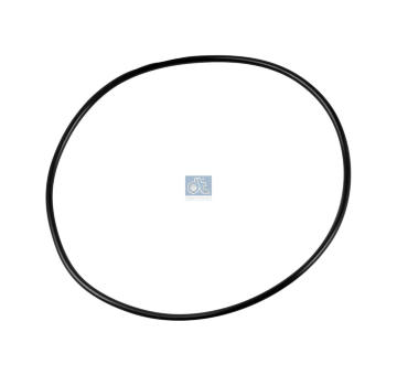 Těsnicí kroužek DT Spare Parts 1.16318