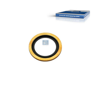 Těsnění DT Spare Parts 2.32224