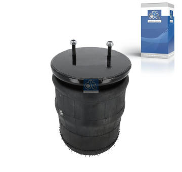 Mech, pneumaticke odpruzeni DT Spare Parts 2.62499