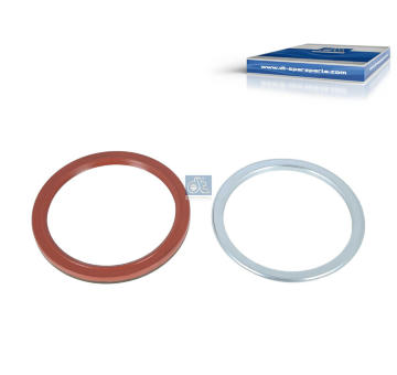 Sada těsnění, náboj kola DT Spare Parts 2.96219