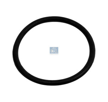Těsnicí kroužek DT Spare Parts 3.69024