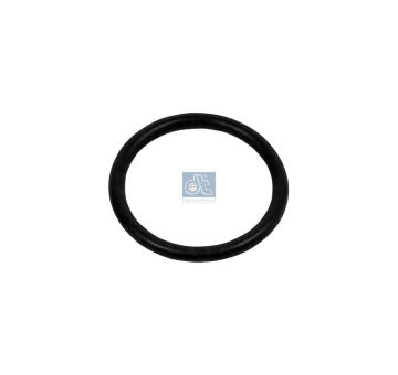 Těsnicí kroužek DT Spare Parts 3.89534
