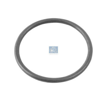 Tesnici krouzek DT Spare Parts 4.20312