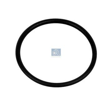 Těsnicí kroužek DT Spare Parts 4.20524