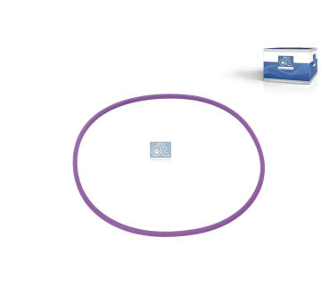 Těsnicí kroužek, hadice plnicího vzduchu DT Spare Parts 4.20874