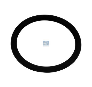 Těsnění, termostat DT Spare Parts 5.45402