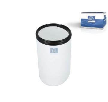 Filtr - sekundární vzduch DT Spare Parts 6.00041