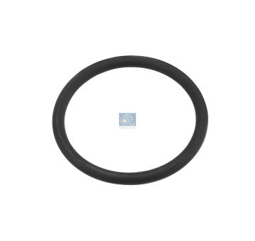 Těsnicí kroužek DT Spare Parts 6.22321