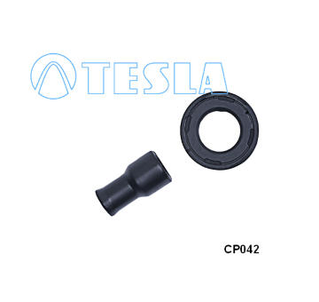 Zástrčka, zapalovací cívka TESLA CP042