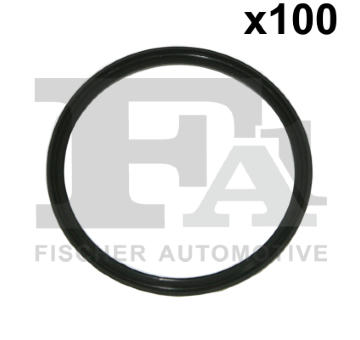 Těsnicí kroužek, kompresor FA1 076.411.100