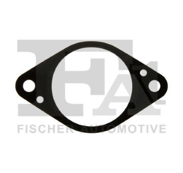 Těsnění, AGR ventil FA1 EG1100-919