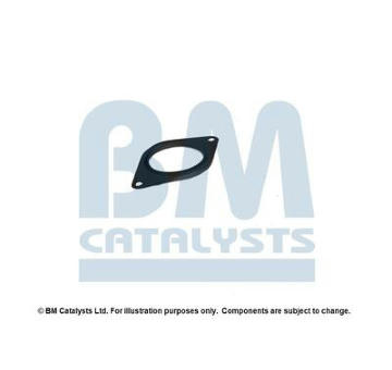 Montazni sada, katalyzator BM CATALYSTS FK31282A