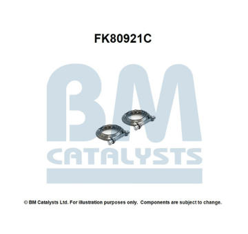 Montazni sada, katalyzator BM CATALYSTS FK80921