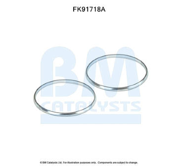 Montazni sada, katalyzator BM CATALYSTS FK91718